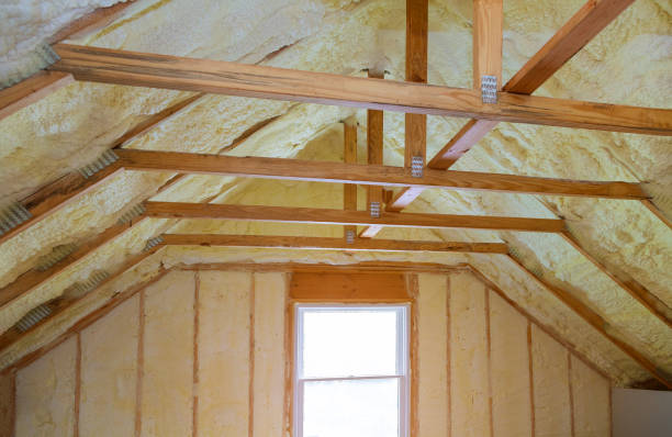 Best Insulation Removal  in New Market, TN