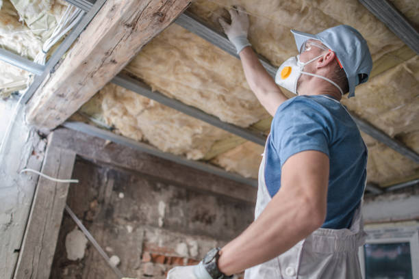 Best Crawl Space Insulation  in New Market, TN