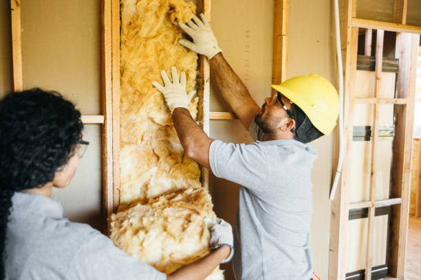 Best Spray Foam Insulation  in New Market, TN