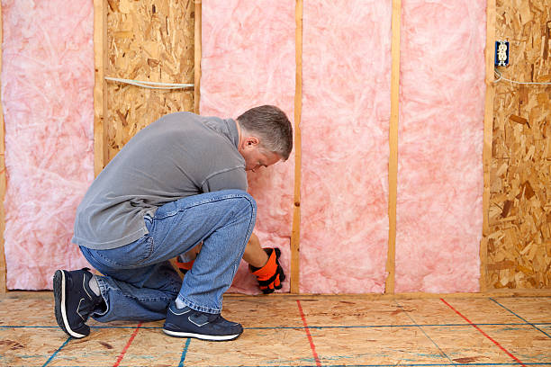 Best Wall Insulation Contractor  in New Market, TN