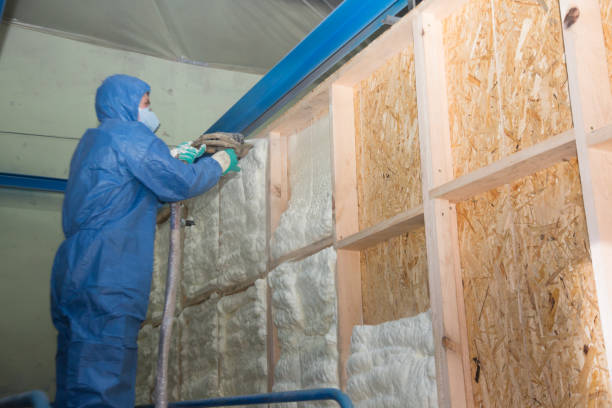 Best Professional Insulation Contractor  in New Market, TN