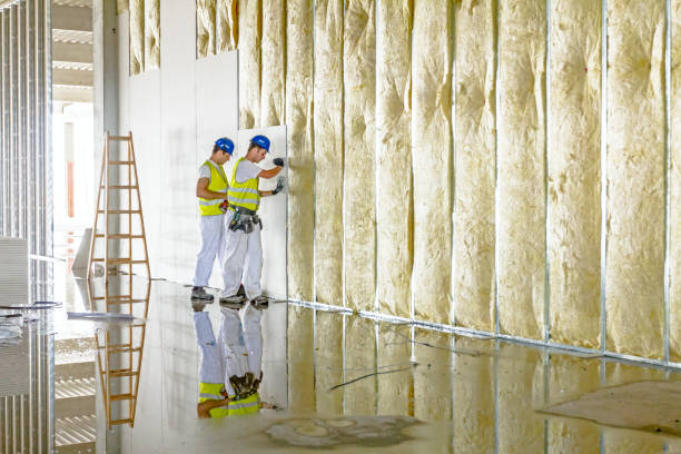 Best Insulation for New Construction  in New Market, TN